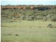 1 Jingemarra Station, Yalgoo North Road, Yalgoo WA 6635