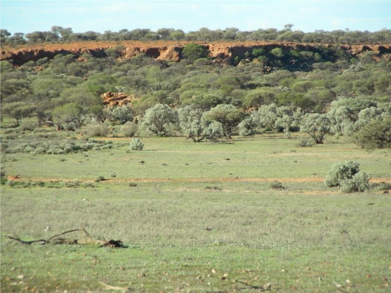 1 Jingemarra Station, Yalgoo North Road, Yalgoo WA 6635