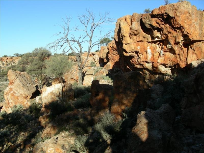 1 Jingemarra Station, Yalgoo North Road, Yalgoo WA 6635