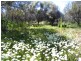 1 Jingemarra Station, Yalgoo North Road, Yalgoo WA 6635