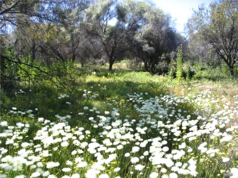 1 Jingemarra Station, Yalgoo North Road, Yalgoo WA 6635