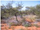 1 Jingemarra Station, Yalgoo North Road, Yalgoo WA 6635
