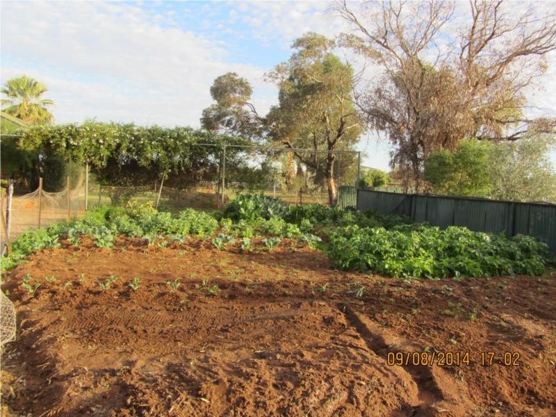 1 Jingemarra Station, Yalgoo North Road, Yalgoo WA 6635