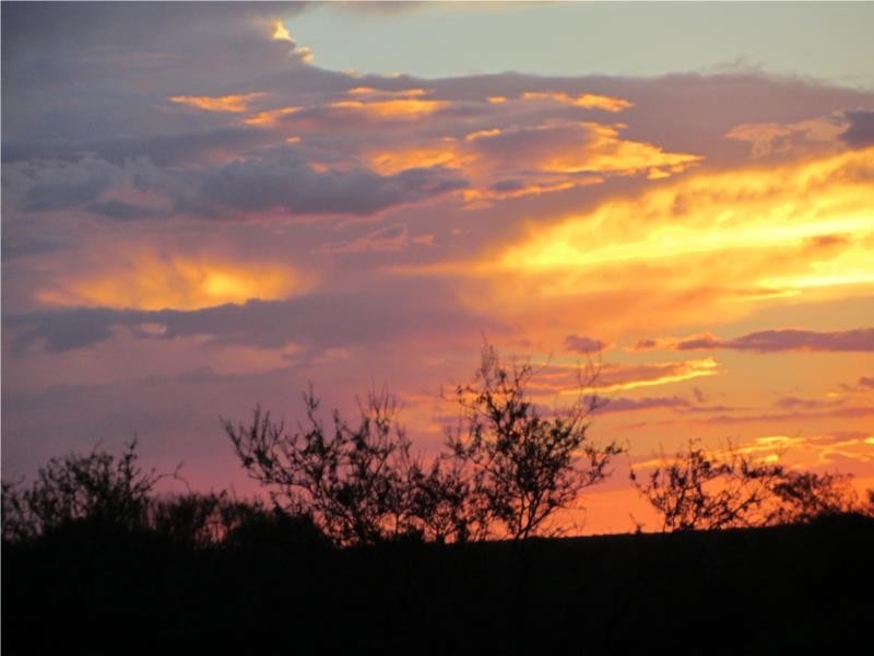 1 Jingemarra Station, Yalgoo North Road, Yalgoo WA 6635