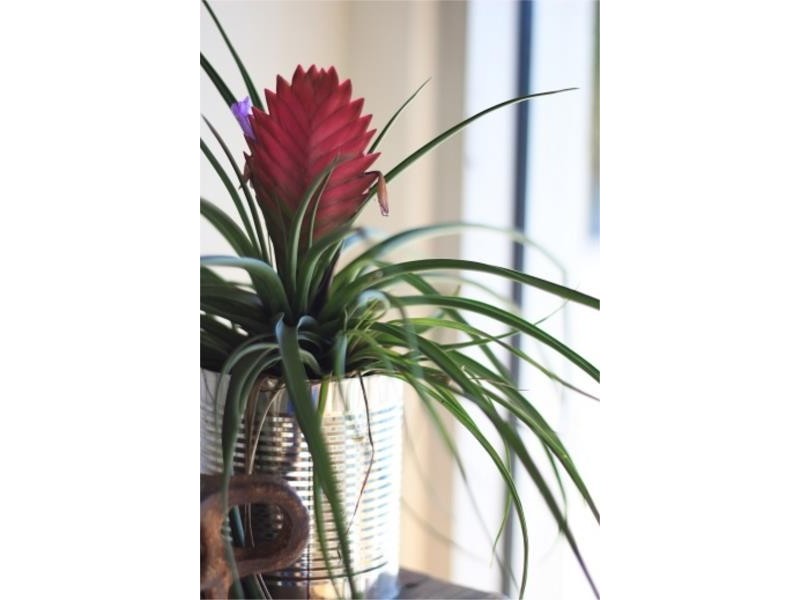 12 Shelly Beach Road, East Ballina NSW 2478