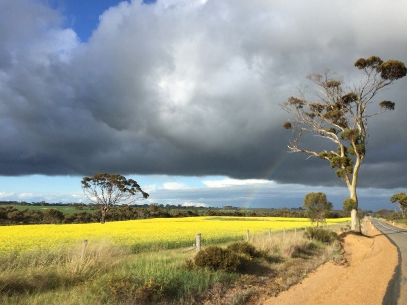 184/6 Heal Road, Quairading WA 6383