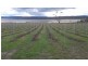 1100 Coles Bay Road, Coles Bay TAS 7215