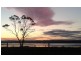 1100 Coles Bay Road, Coles Bay TAS 7215