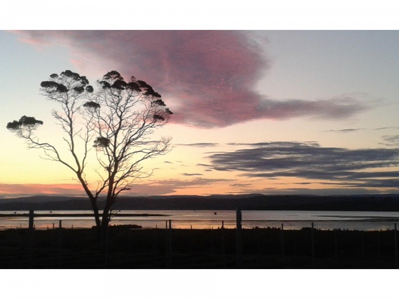 1100 Coles Bay Road, Coles Bay TAS 7215