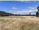 1100 Coles Bay Road, Coles Bay TAS 7215
