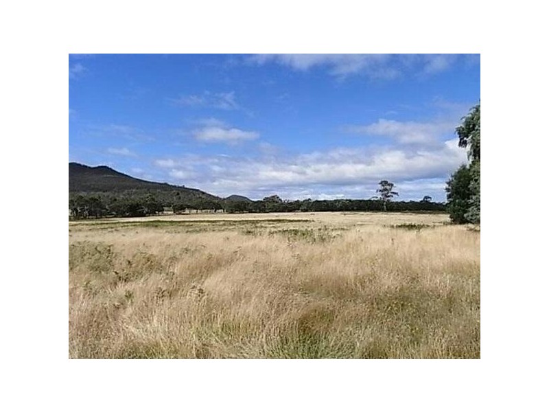 1100 Coles Bay Road, Coles Bay TAS 7215