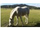 1100 Coles Bay Road, Coles Bay TAS 7215