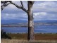 1100 Coles Bay Road, Coles Bay TAS 7215