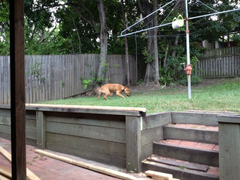 290 Kelvin Grove Road, Kelvin Grove QLD 4059