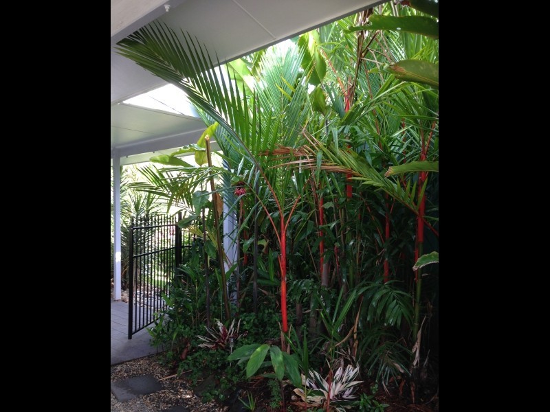 Cairns QLD 4870