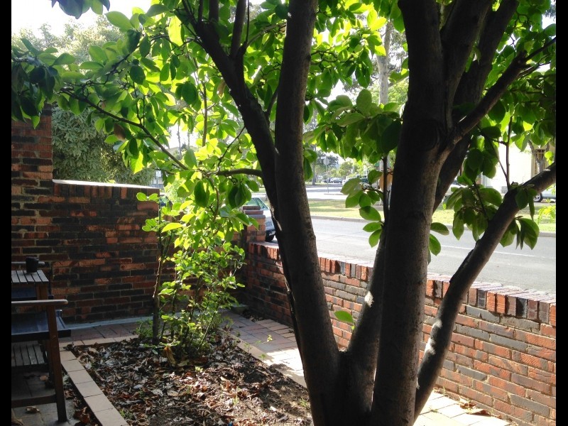 7 Haines Street, North Melbourne VIC 3051