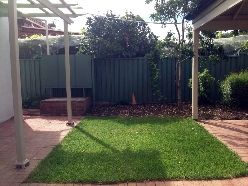 9 Robsart Street, Parkside SA 5063