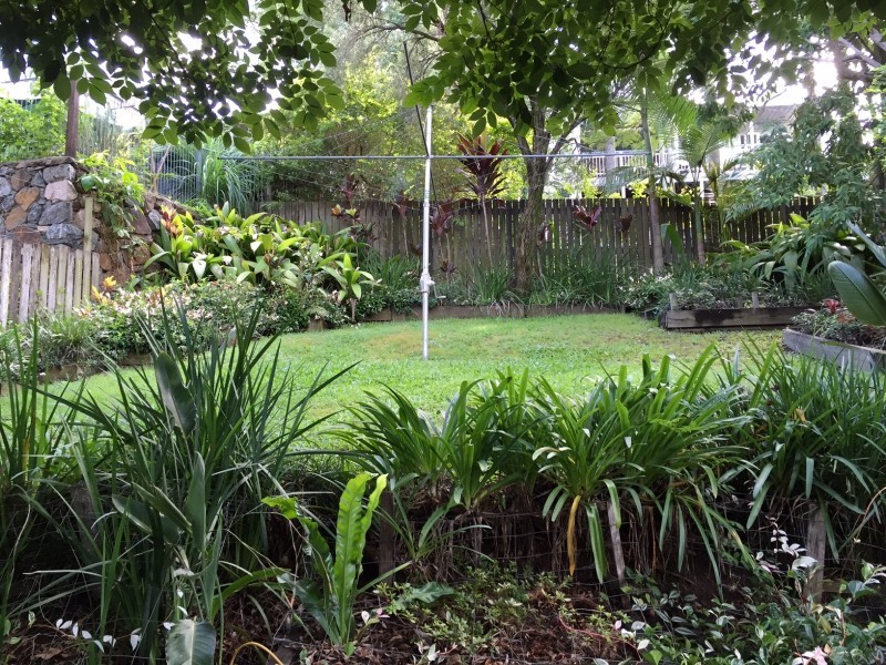 113 Munro Street, Auchenflower QLD 4066