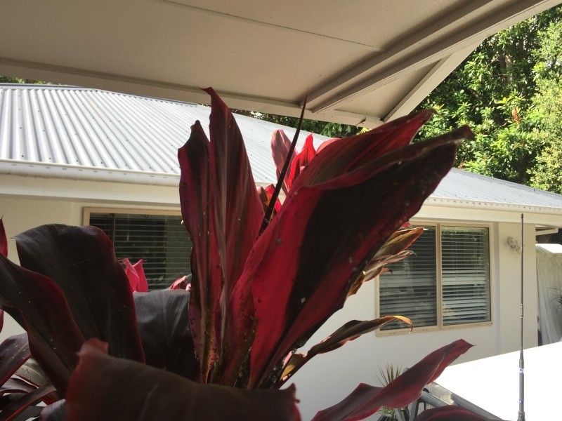 2A Dress Circle Crt, Buderim QLD 4556
