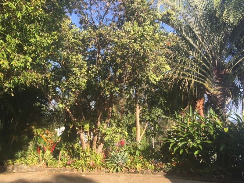 2A Dress Circle Crt, Buderim QLD 4556