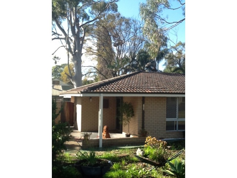 104 Reynolds Road, Mount Pleasant WA 6153