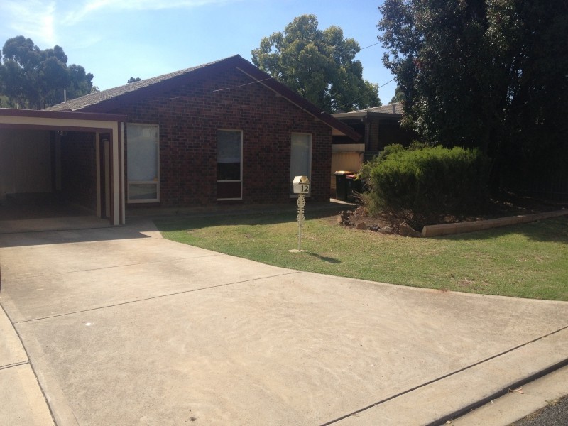 12 Carman Street, Redwood Park SA 5097