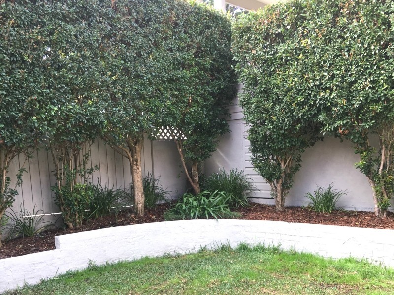 66 Lagoon Street, Narrabeen NSW 2101