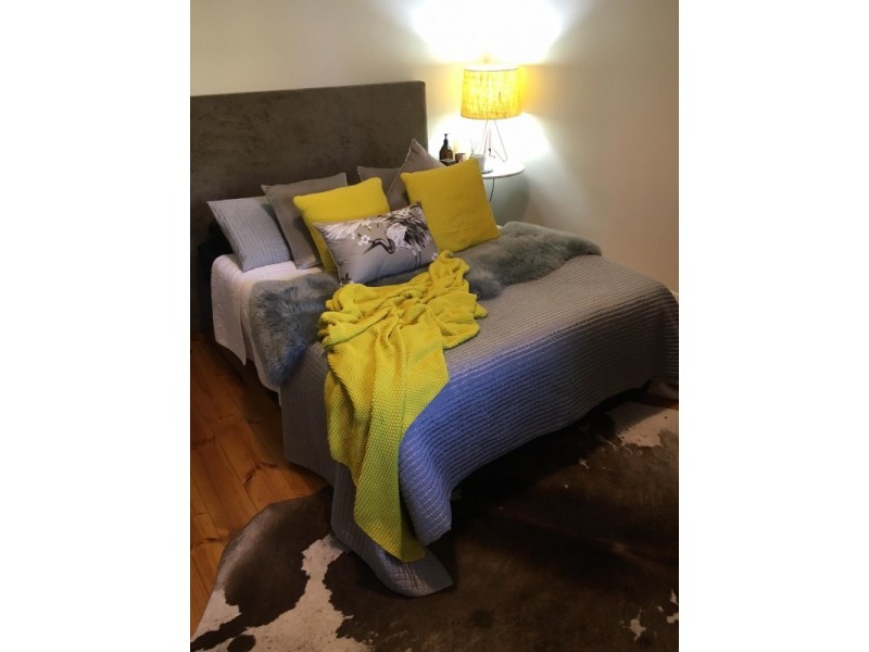 113 Margaret Street, North Adelaide SA 5006