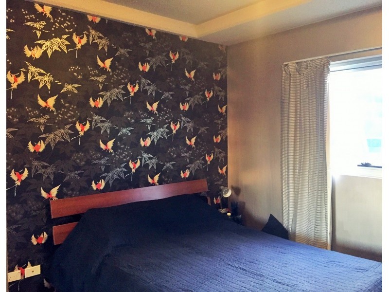 217/1000 Ann Street, Fortitude Valley QLD 4006