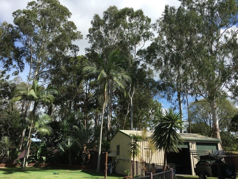 5 Trindad Terrace, Deception Bay QLD 4508