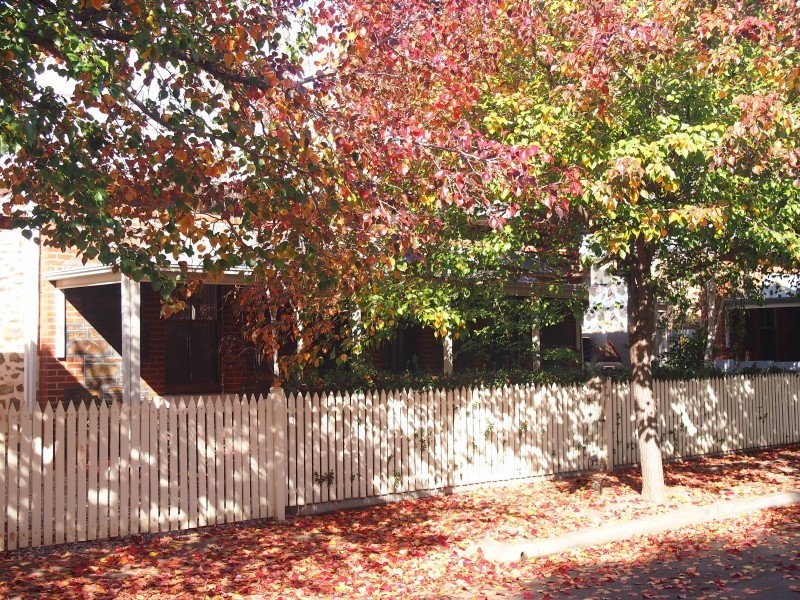 43 Devon Street South, Goodwood SA 5034