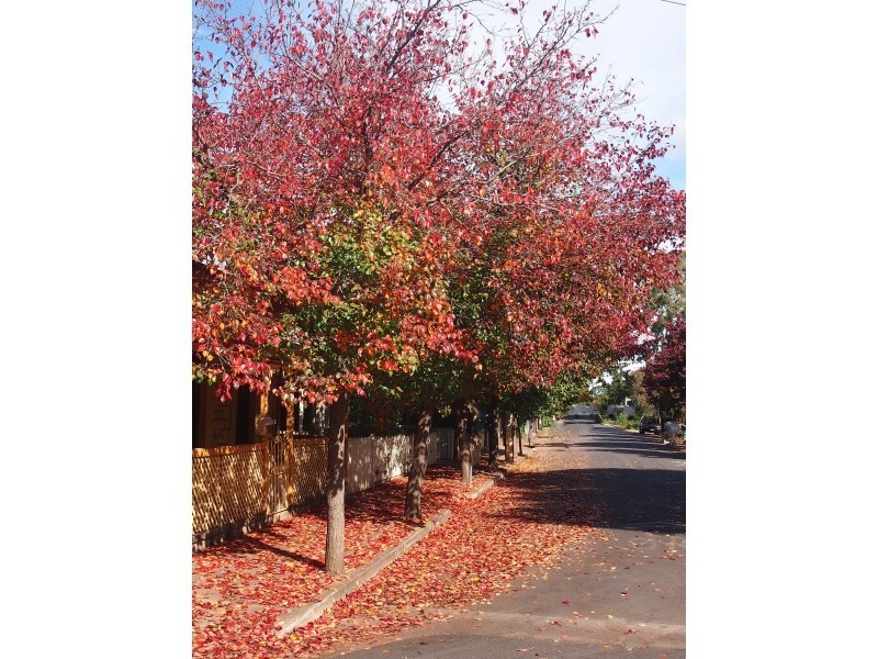 43 Devon Street South, Goodwood SA 5034