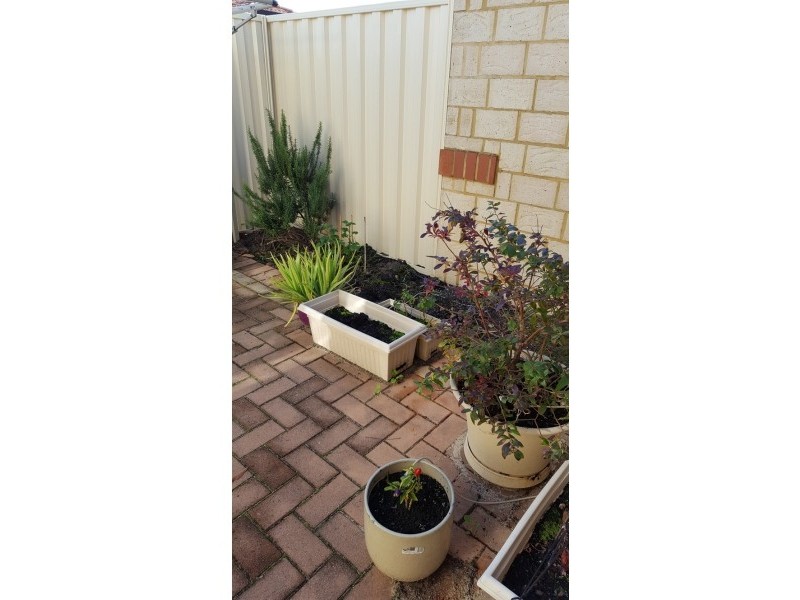 8/56-58 Henry Street, East Cannington WA 6107