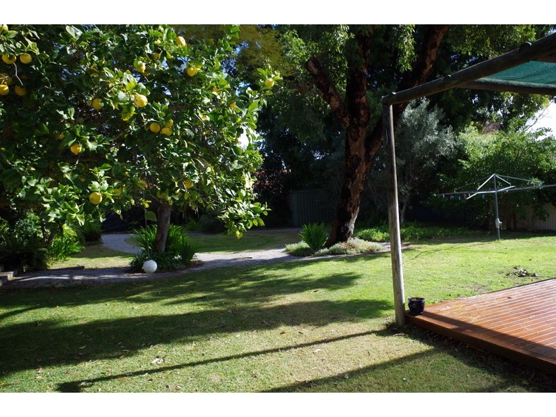 29 Martin Avenue, Nedlands WA 6009