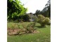 36 Country Club Avenue, Prospect TAS 7250
