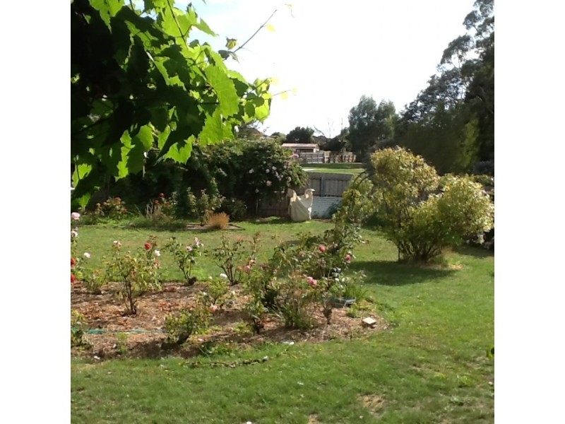 36 Country Club Avenue, Prospect TAS 7250