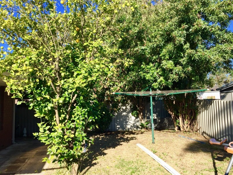 3A Kulindi Crescent, Wanneroo WA 6065