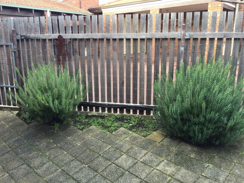 9/6 School Street, Kalamunda WA 6076