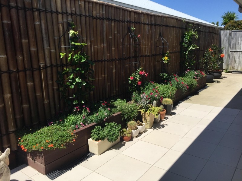 18 White Cedar Drive, Meridan Plains QLD 4551