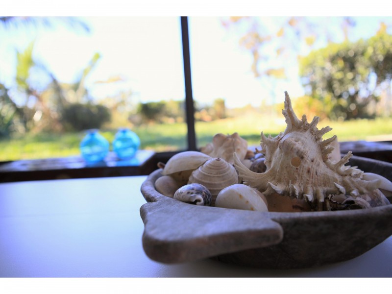 65 Annam Road, Bayview NSW 2104