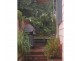 33 Cambridge Street, Rozelle NSW 2039