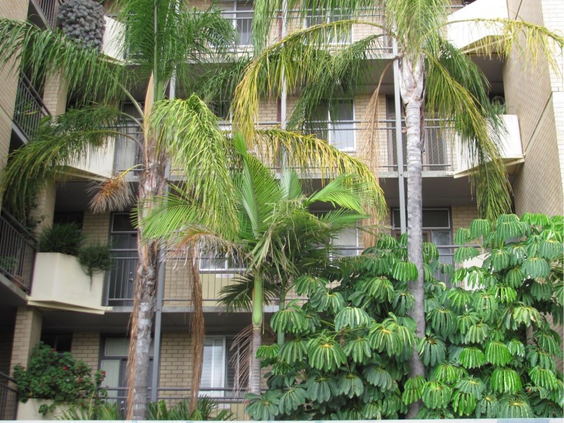 4/103 Strangways Terrace, North Adelaide SA 5006