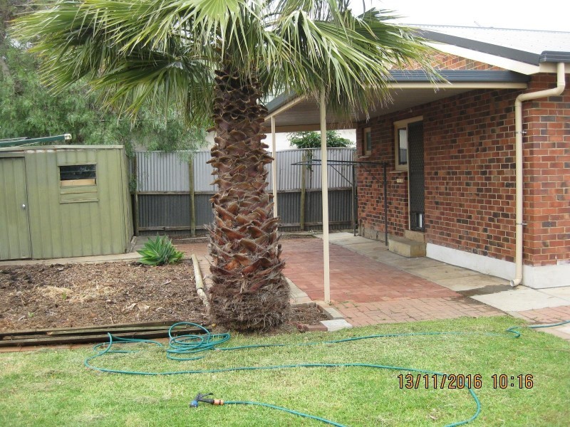 39 Clipper Court, Seaford SA 5169