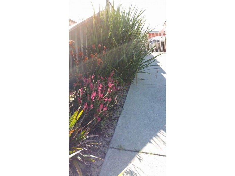 7A Changton Way, Westminster WA 6061