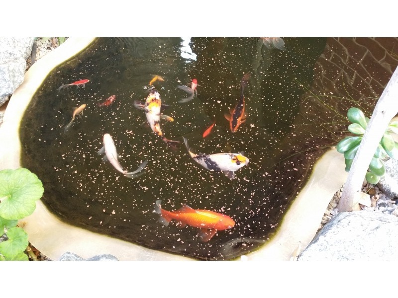 7A Changton Way, Westminster WA 6061