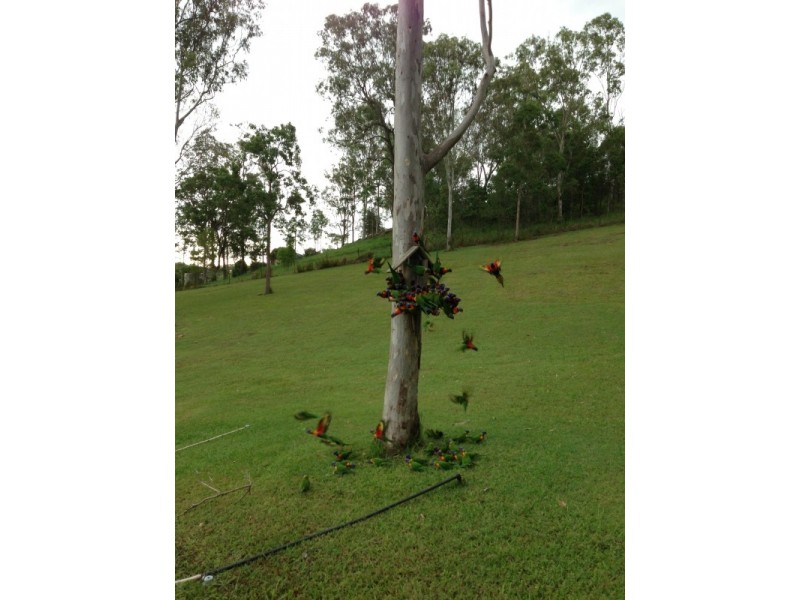 19 Friendship Court, Mundoolun QLD 4285