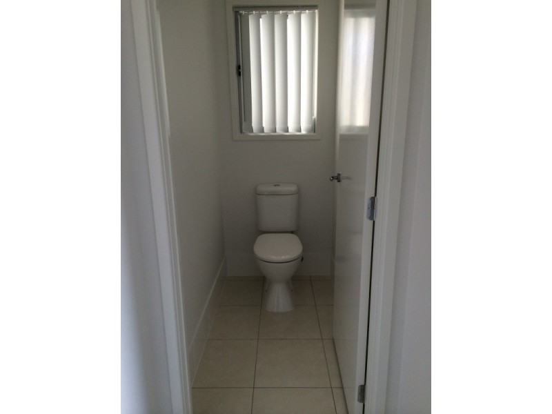 7 Cobia Court, Mountain Creek QLD 4557