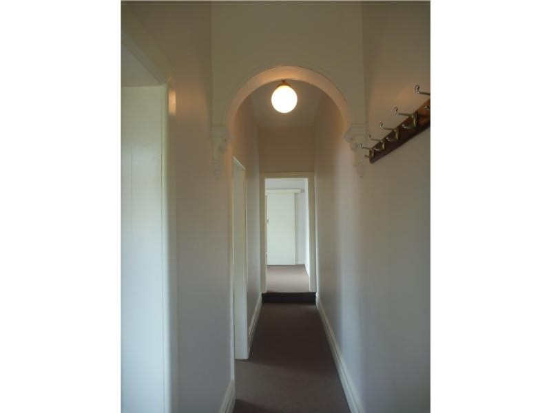 43 Campbell Street, Newtown NSW 2042