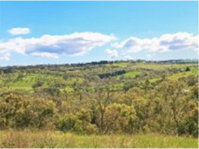 507 Archer Hill Road, Highland Valley SA 5255