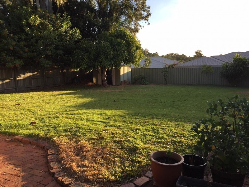 20 Cypress Street, Kuluin QLD 4558